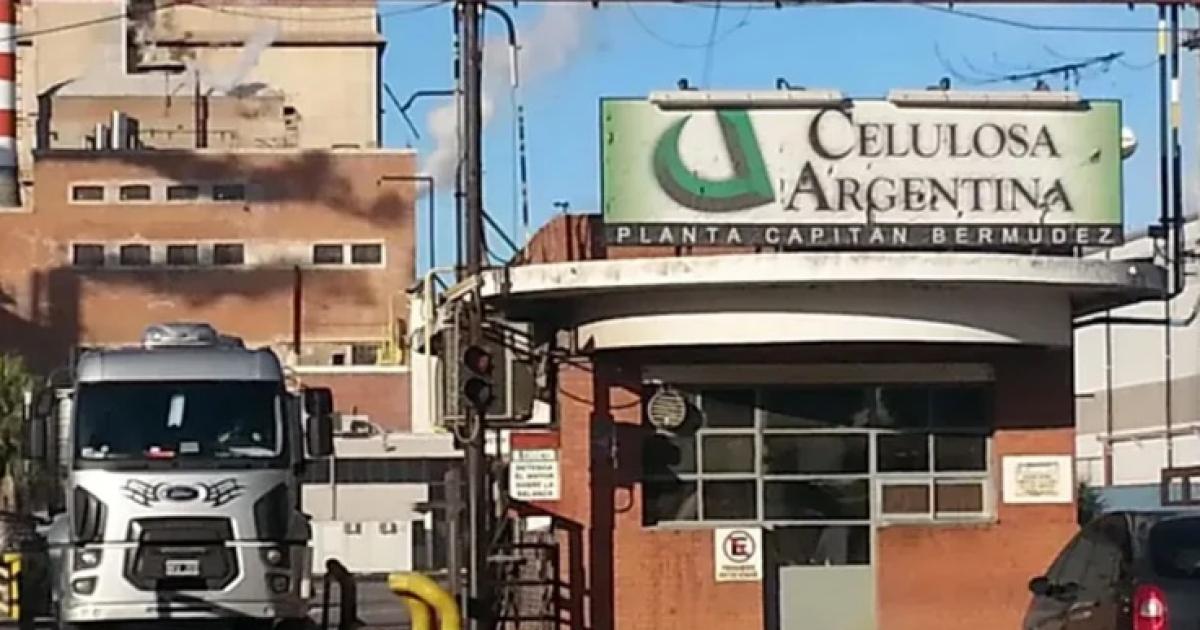 Celulosa reportó pérdidas por  172634 millones y est cerca de la quiebra