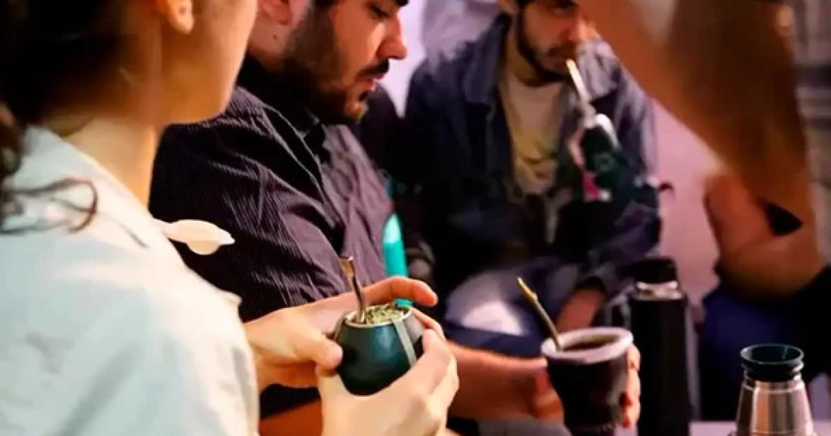 El mate en la balanza- hidrata o deshidrata Cul es su efecto real en el organismo humano