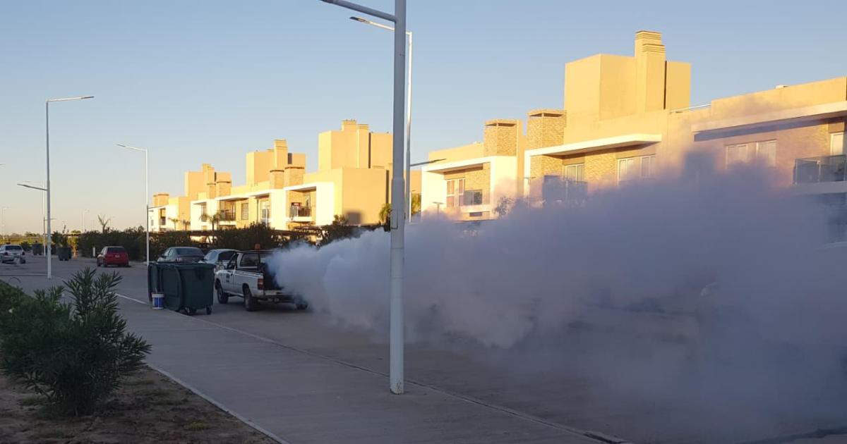 La municipalidad fumigar en varios sectores esta semana