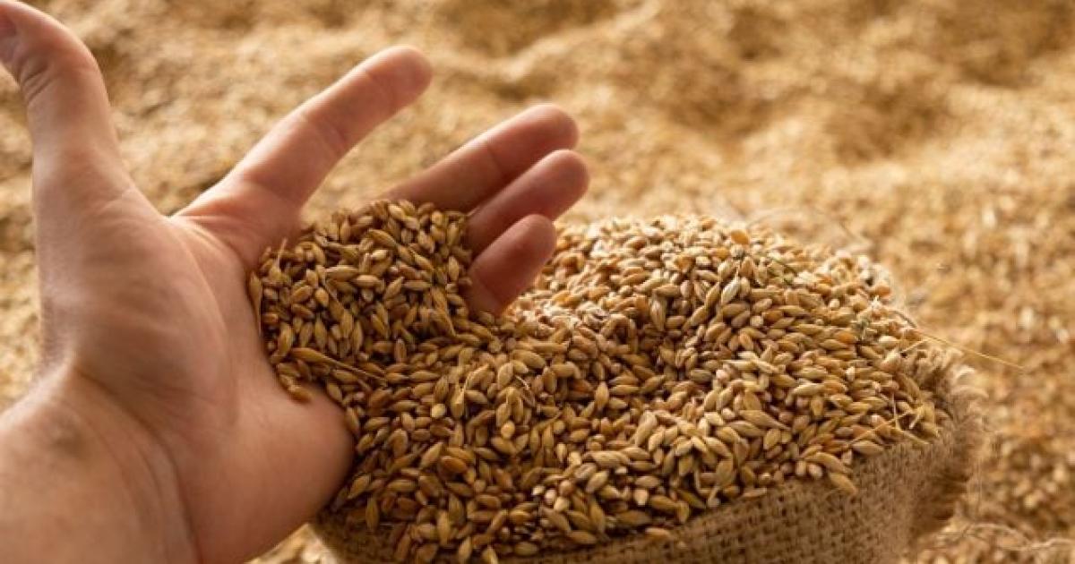 PRESENTACIÓN- Bustos reveló que Orellano lo estafó con diversos cheques carentes de fondos yo falsos Asimismo enfatizó que el sujeto con residencia en Juríes se encuentra en el Chaco