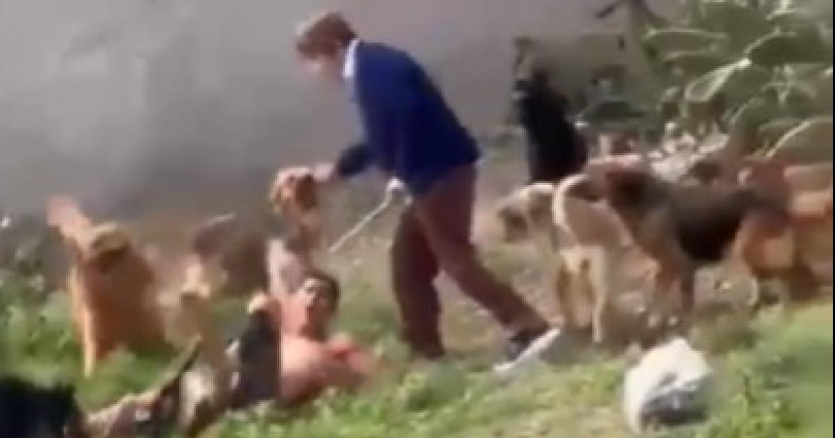 El joven sufrió lesiones graves (Foto- CJ  Tucumn)