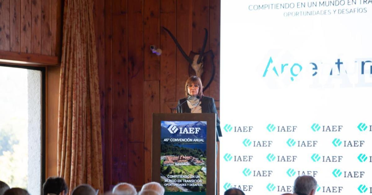 Bullrich en la convencioacuten del IAEF- En Argentina habiacutea 9000 piqueteros por antildeo hoy ya no existe