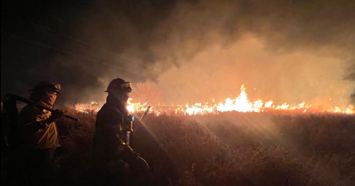 Bomberos sofocaron un incendio forestal de gran magnitud