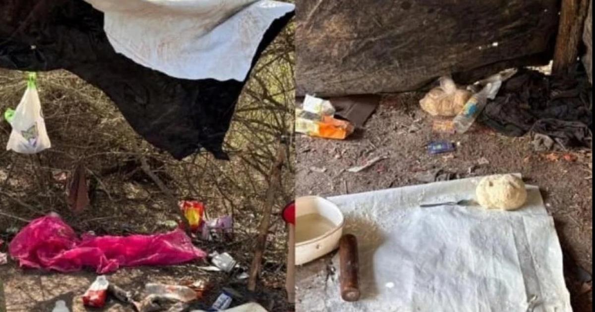 Dos santiaguentildeos detenidos por explotar a 17 comprovincianos en un campo del norte santafesino