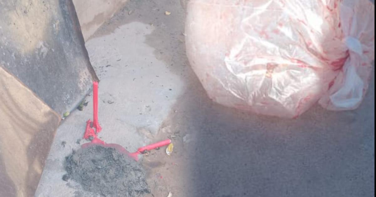 Vecina halloacute un animal vivo sangre y velas rojas en su casa