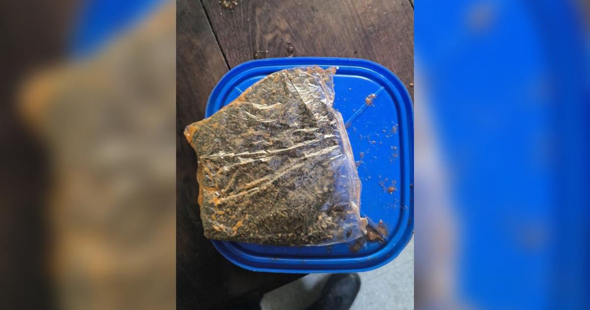 Intentoacute ingresar marihuana escondida en un taper con comida y fue detenida