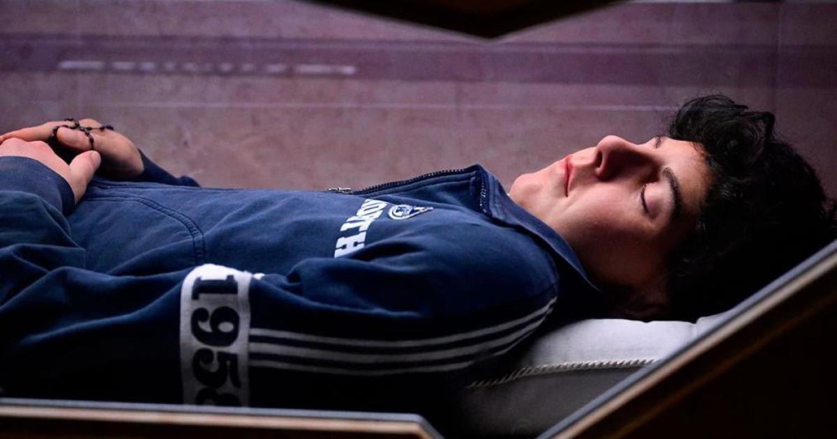 El papa León XIV canonizó a Carlo Acutis y a Pier Frassati