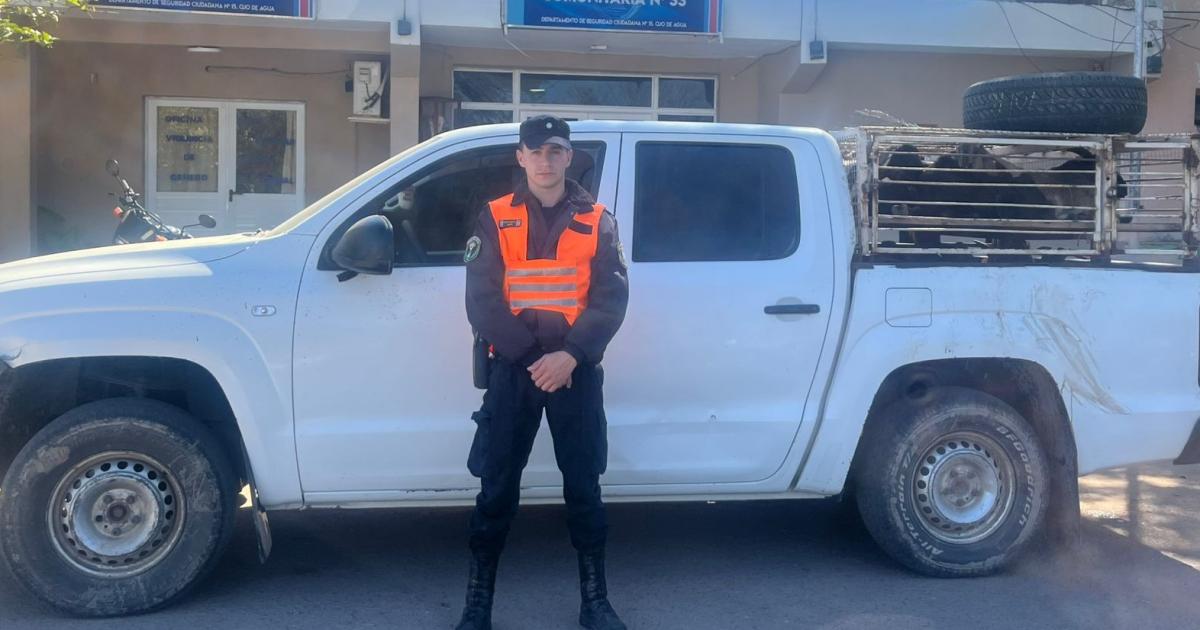 Secuestran camioneta robada y retienen animales sin documentacioacuten en un control policial 