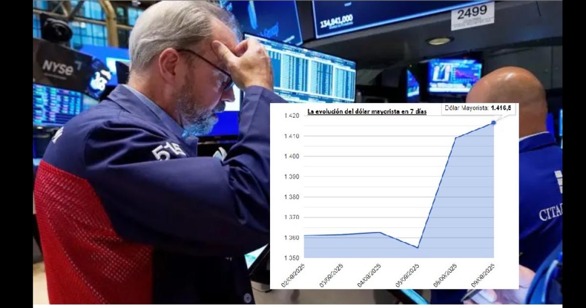 El doacutelar mayorista subioacute a 1416 el minorista en 1425 y cayoacute el Merval 