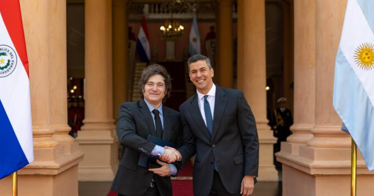 Javier Milei y Santiago Peña en el Palacio de López (Foto- Presidencia)