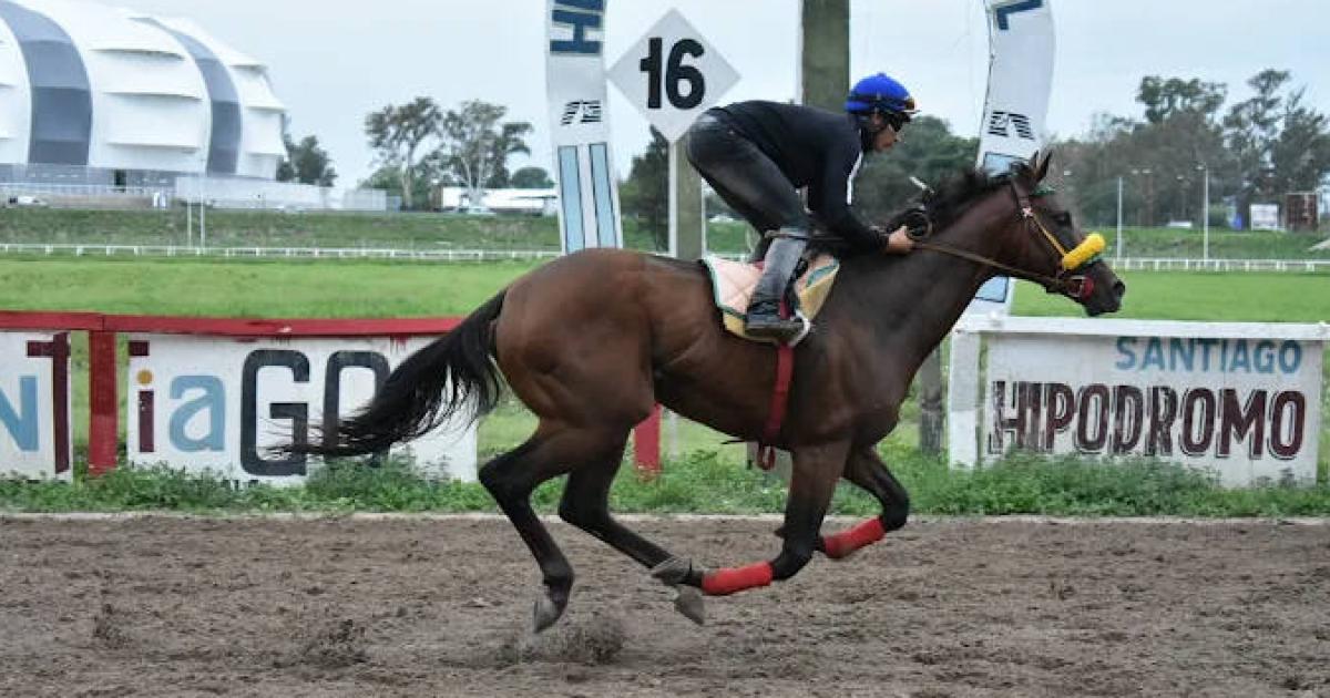 Joseacute Tarchini resaltoacute la disputa del Claacutesico Copa 60 Antildeos de Canal 7