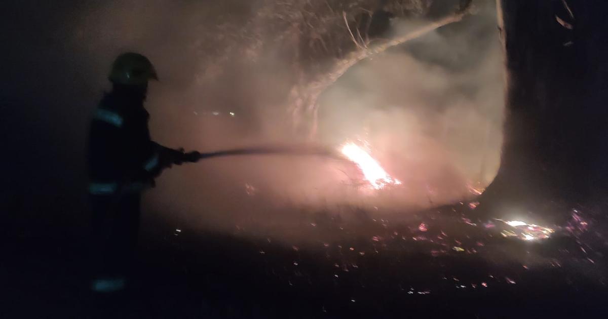 Otro incendio de pastizales movilizoacute a Bomberos y Policiacutea en predios de la UNSE