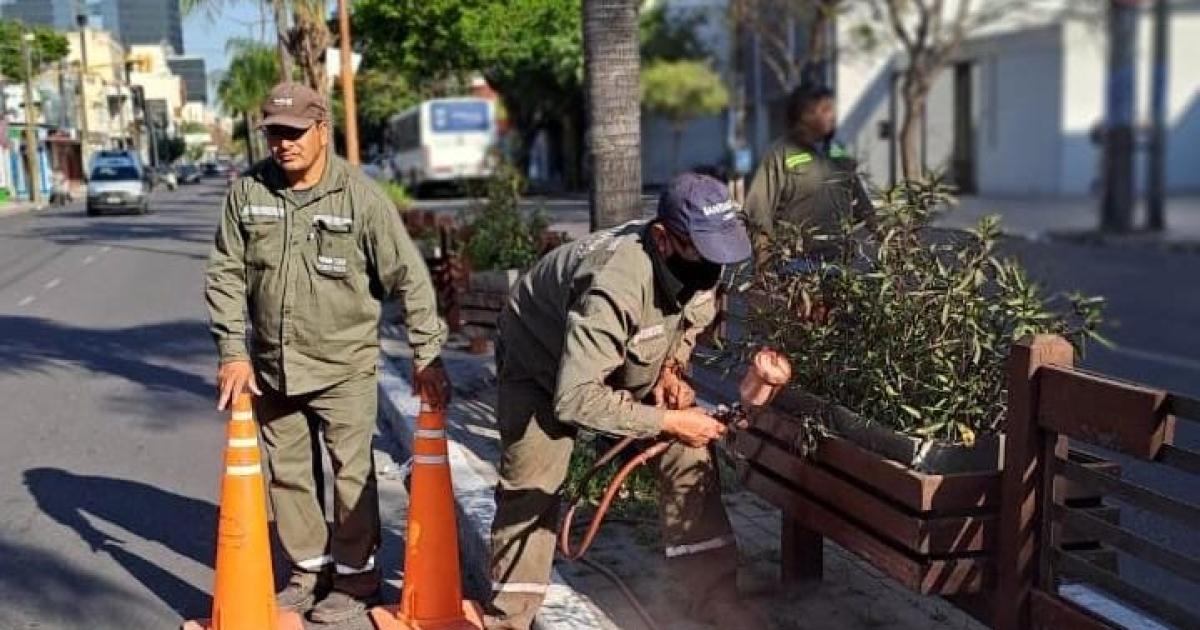 Trabajaron en la renovacioacuten de la pintura de los canteros de Av Belgrano