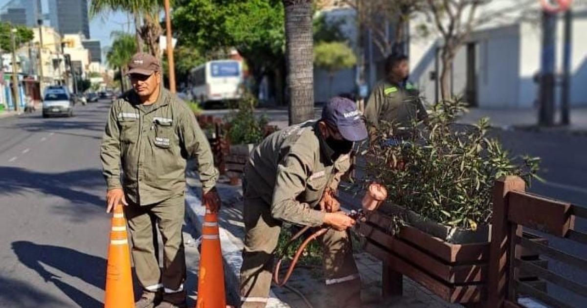 Remodelacioacuten de los canteros de avenida Belgrano