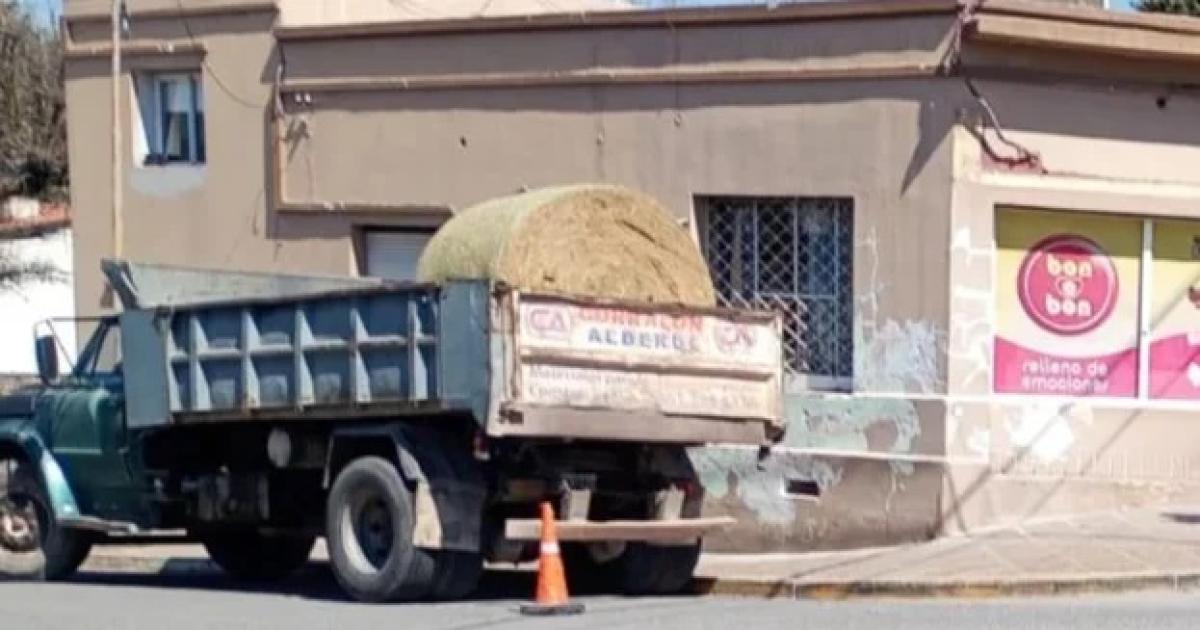 Un jubilado de 77 años murió tras ser atropellado por un camión (Foto- NA)