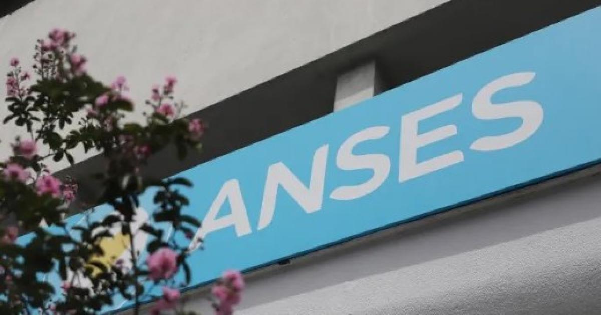 Anses (Foto- Ilustrativa)