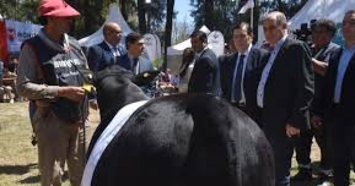 Mandrille anuncioacute fuerte apoyo del gobierno a la ganaderiacutea local