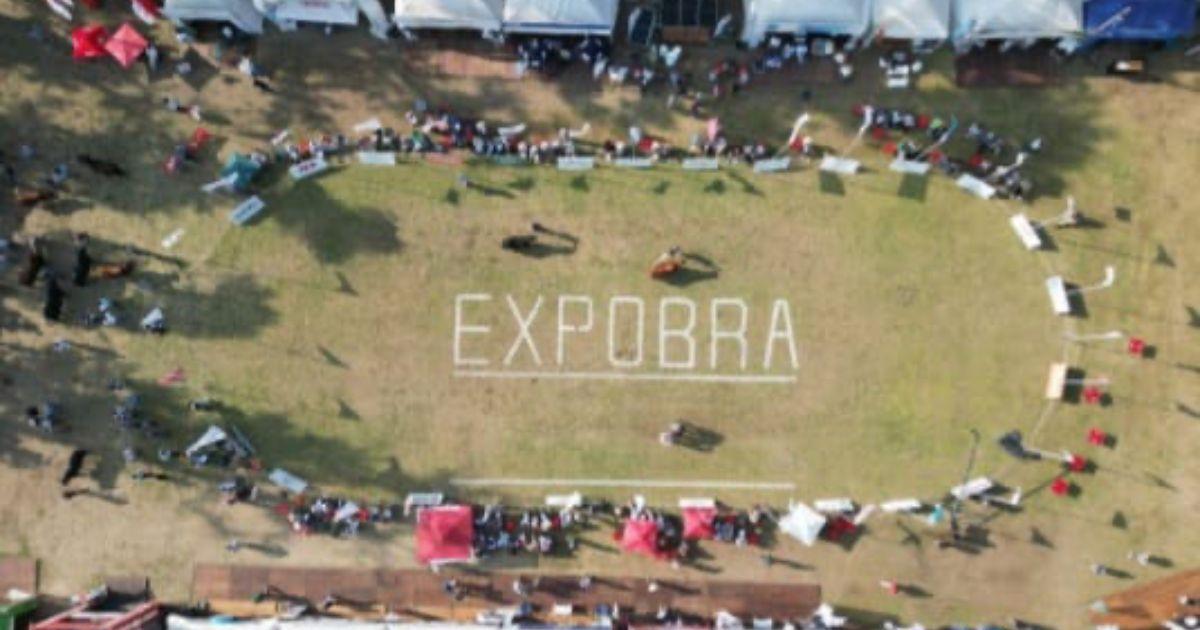 Comienza la ExpoBRA 2025 con lo mejor de Braford Brahman y Brangus