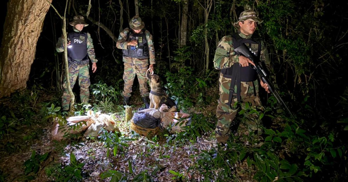 Prefectura secuestroacute maacutes de 50 kilos de marihuana- la droga estaba oculta en bolsas de arpillera