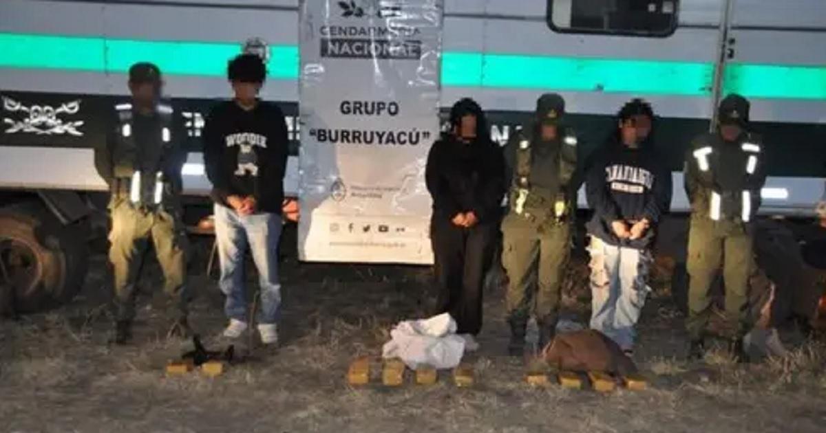Secuestran maacutes de 12 kilos de cocaiacutena en un colectivo de larga distancia 
