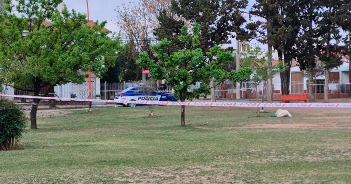 ( Foto- Pablo Olivarez  El doce)