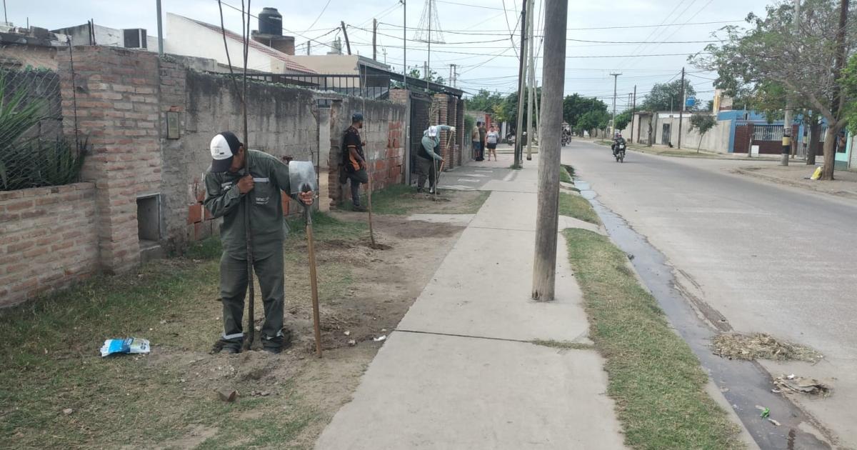 La Municipalidad comenzoacute la plantacioacuten de maacutes de 2300 aacuterboles en el barrio La Catoacutelica