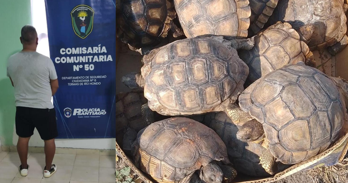 Un hombre de apellido Jiménez fue aprehendido y quedó vinculado a la causa judicial en curso en el marco de la lucha contra el trfico de fauna