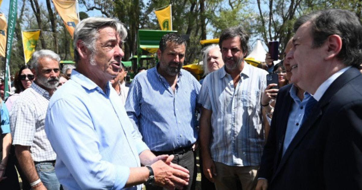 Vivimos en elecciones permanentes y estos procesos retraen inversiones y hacen que todo se frene un poco