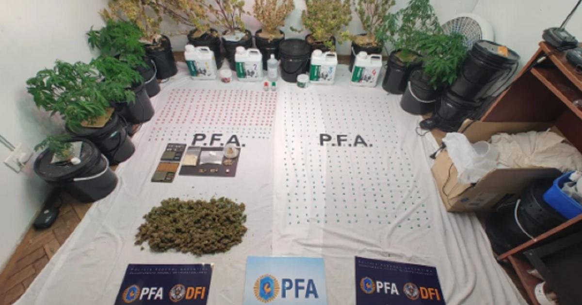 Golpe al narcotrfico- detienen a cuatro personas en mltiples allanamientos - Foto- NA