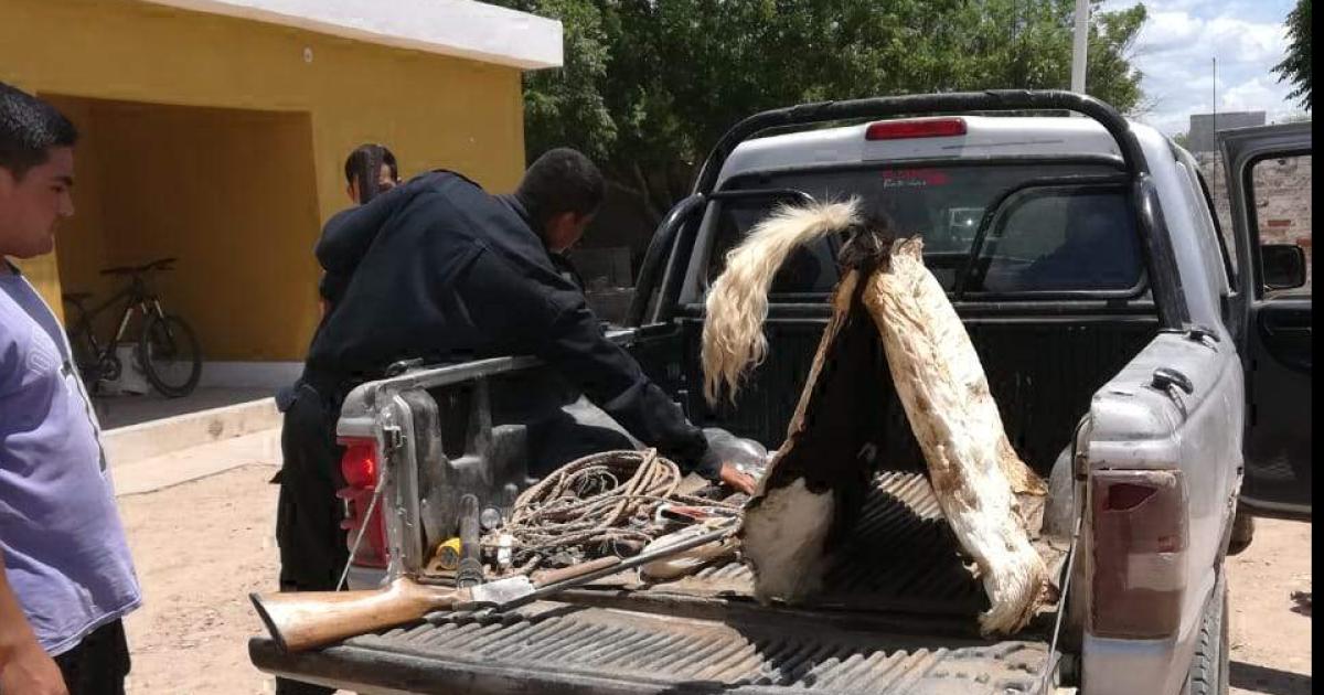 Seguidilla de audiencias por banda de cuatreros y coacutemplices