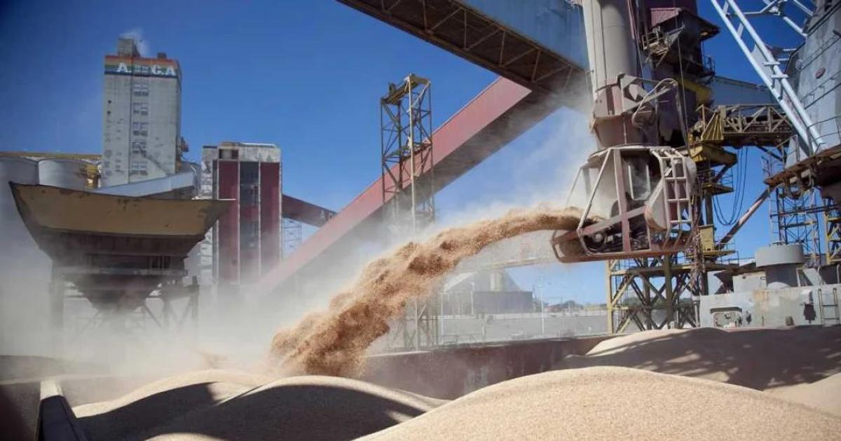 El Gobierno elimina retenciones a los granos hasta el 31 de octubre