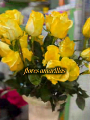 VIDEO  iquestSabiacuteas por queacute se regalan flores amarillas el 21 de septiembre