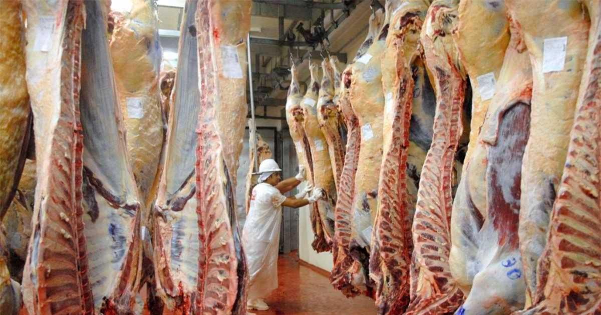 El anuncio de baja de retenciones lo hizo el vocero presidencial Manuel Adorni