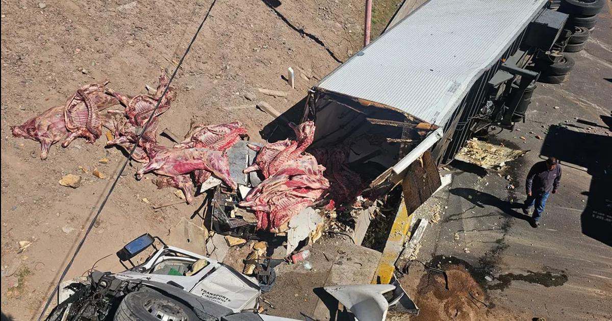 Un camioacuten con carne volcoacute y la gente intentoacute llevarse las medias reces
