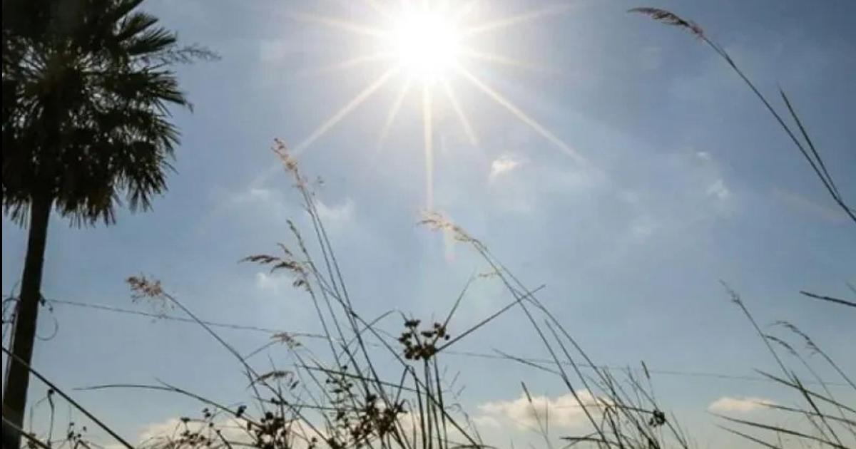 Anuncian un martes ventoso sobre la Madre de Ciudades