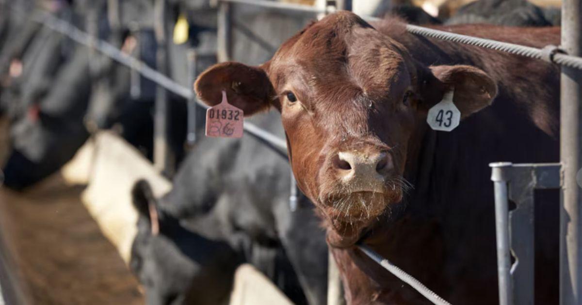 El Gobierno confirmó que la medida se extiende hasta el 31 de octubre