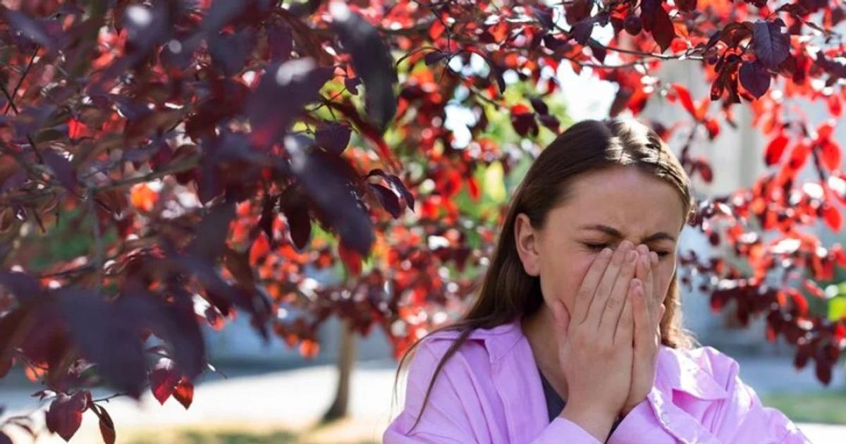 ÉPOCA La suba de casos se dio por el inicio temprano de la polinización