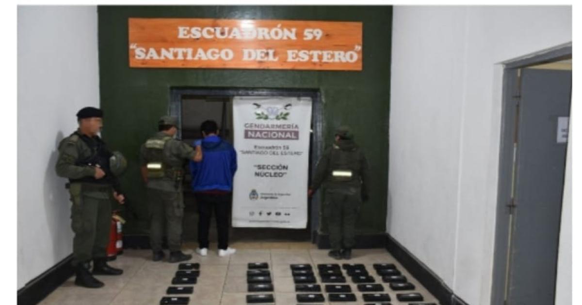 Un can tumba negocio de 888 millones de cocaiacutena en Fernaacutendez