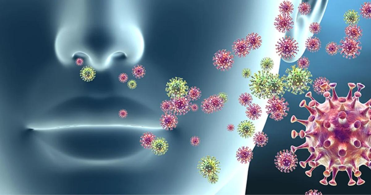 INCIDENCIA En Argentina alrededor de 14600 hospitalizaciones y 3500 muertes anuales en adultos mayores son causadas por el VSR