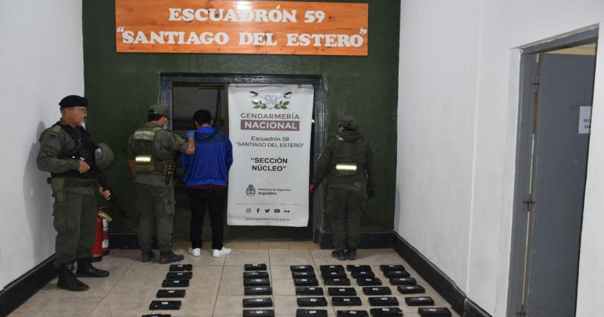 Un can tumba negocio de 888 millones de cocaiacutena en Fernaacutendez