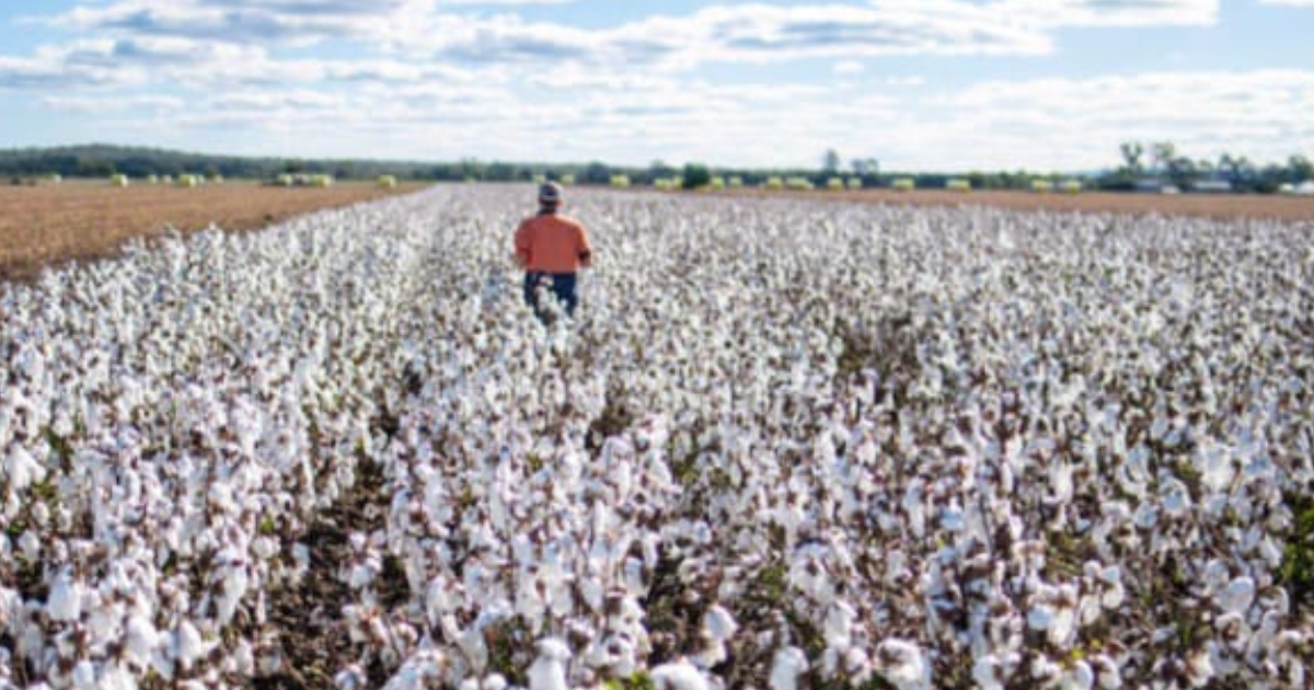Quimiliacute- realizan una jornada a campo para productores de la regioacuten 