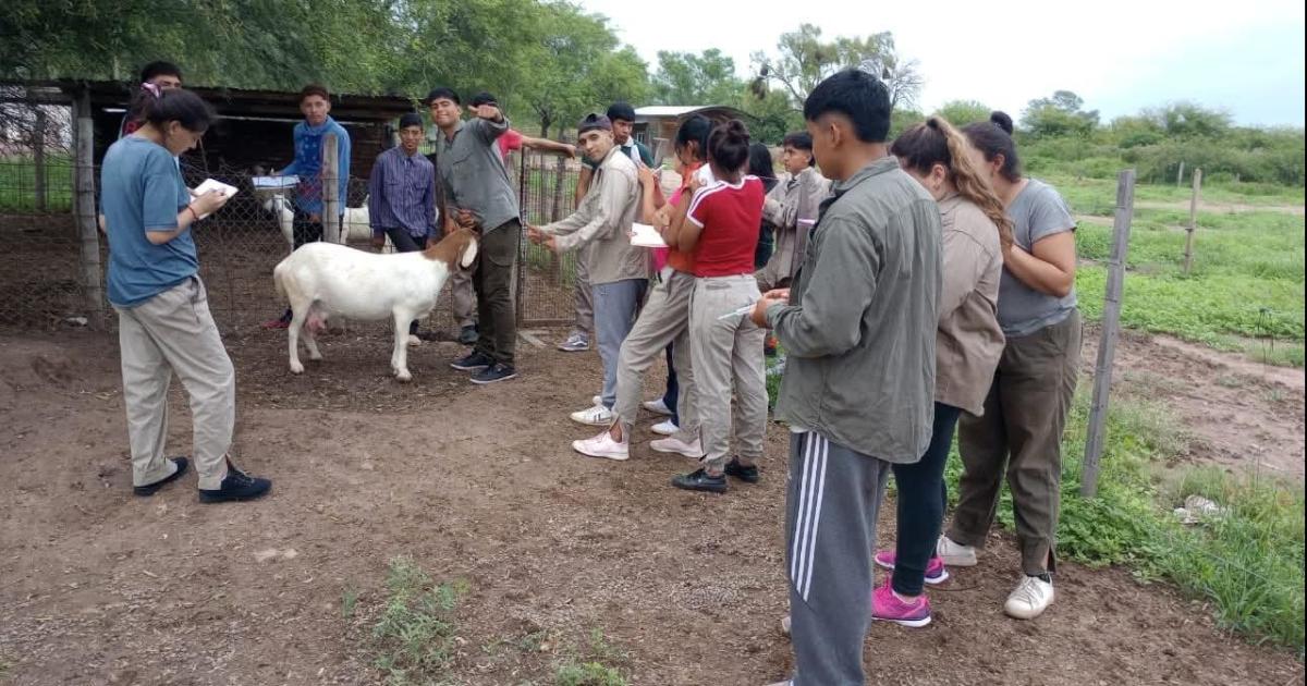 Se viene otra edicioacuten de la Exposicioacuten de la Cabra Criolla