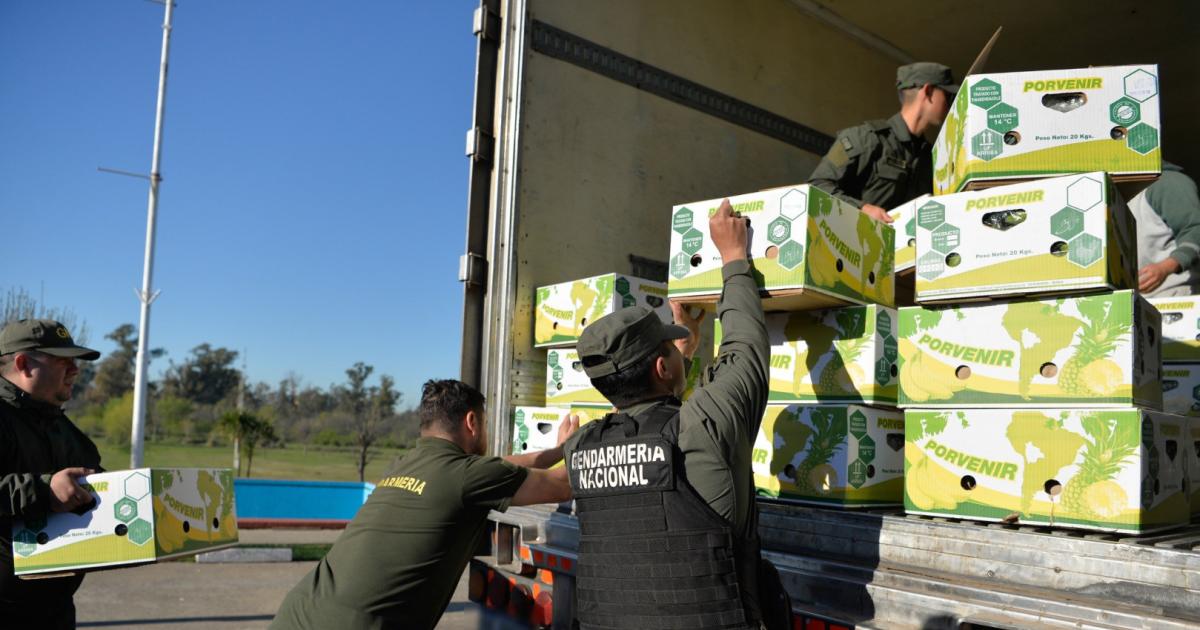 Operativo Banana Split- Gendarmeriacutea decomisoacute 444 kilos de cocaiacutena escondidos entre cargamento de bananas