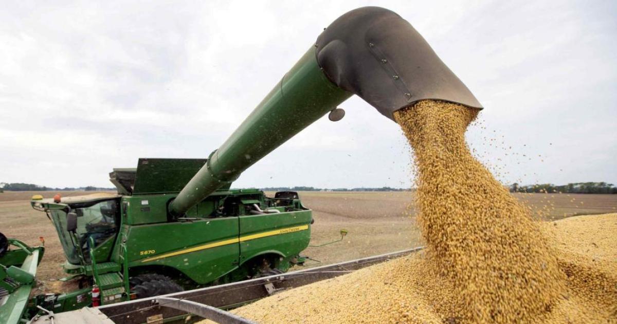 Liquidacioacuten reacutecord del agro por las retenciones 0 pero con grave impacto en la recaudacioacuten