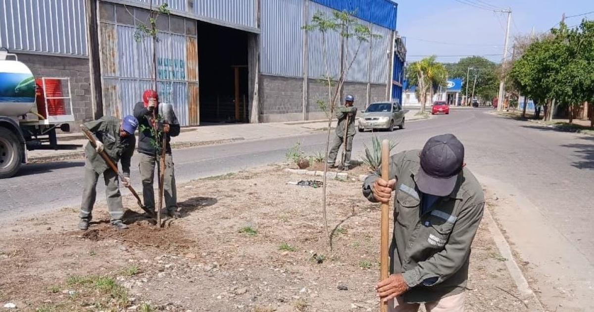La Municipalidad inicioacute la plantacioacuten de maacutes de 3300 aacuterboles en el barrio Los Inmigrantes