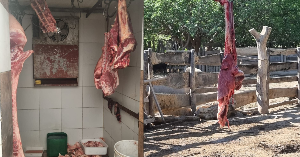 Las autoridades detectaron faena clandestina en el departamento Banda