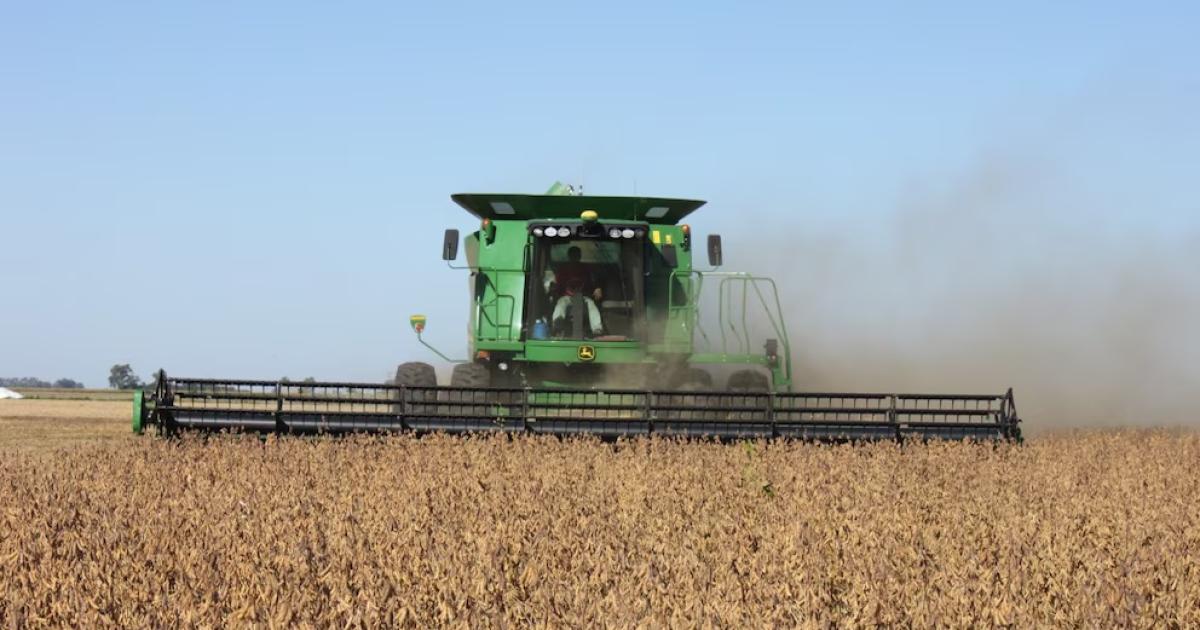 La pausa en los aranceles agriacutecolas de Milei dispara reacutecord histoacuterico de exportaciones y genera tensiones en el sector