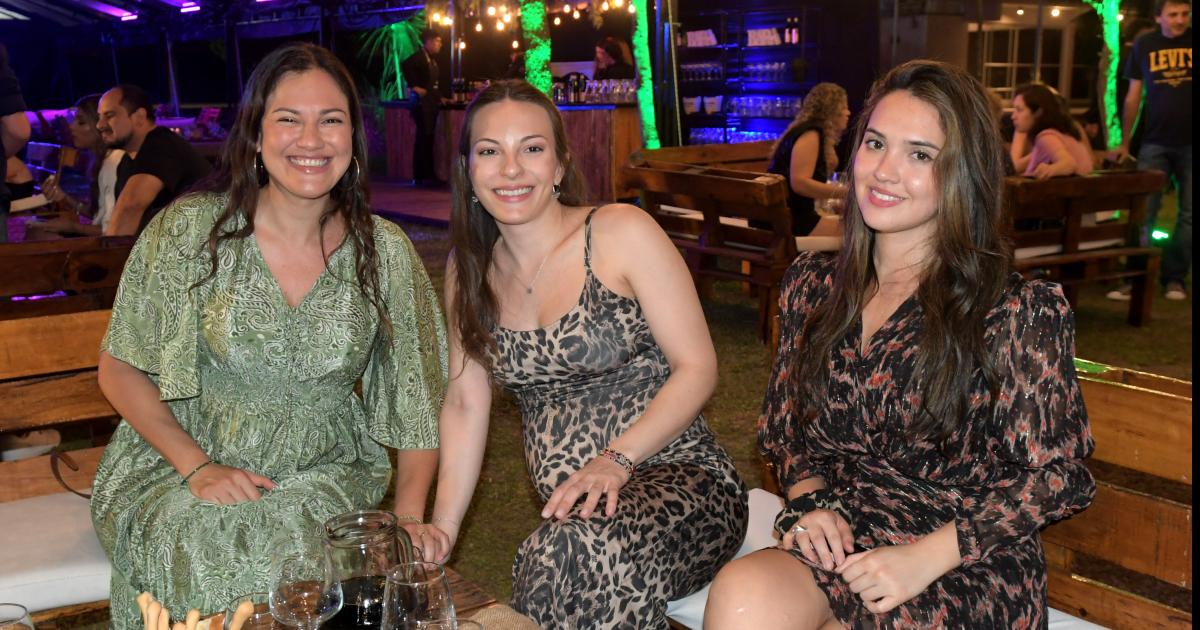 FIESTA DEL DIacuteA DEL ODONTOacuteLOGO