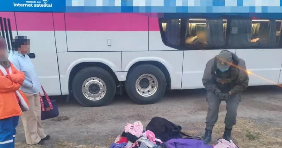 Detienen a una pasajera con ms de 4kilos de marihuana en un colectivo de larga distancia - Foto- Contexto Tucumn