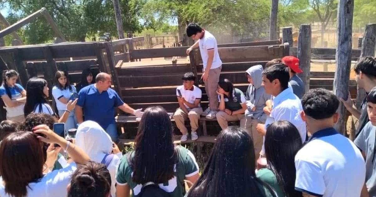 La Expo Agro Ganadera del Agroteacutecnico Nordm 1 superoacute las expectativas